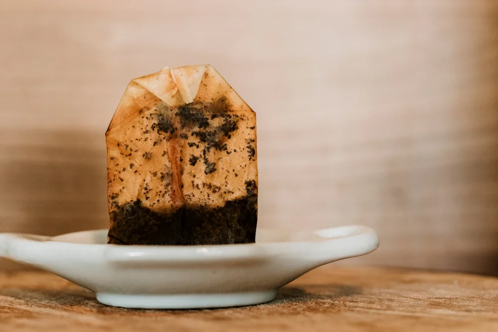 אל תזרקו את זה לפח: הסוד הקטן שיציל את הגינה שלכם אל תזרקו את זה לפח: הסוד הקטן שיציל את הגינה שלכם