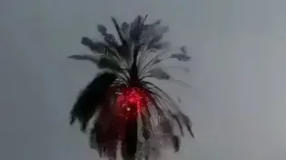 רגע הפיצוץ: ברק היכה בעץ - והפך אותו ללפיד בוער