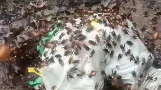 הסרטון הזה יגרום לכם להעריך את העבודה שלכם הרבה יותר