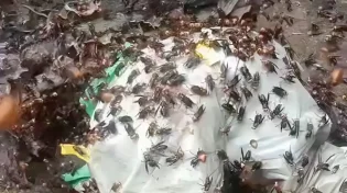 הסרטון הזה יגרום לכם להעריך את העבודה שלכם הרבה יותר