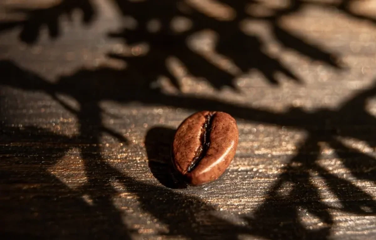 קפה נטול הוא לא בהכרח כשר: הסכנות הנסתרות מאחורי הקפה