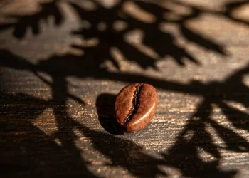 קפה נטול הוא לא בהכרח כשר: הסכנות הנסתרות מאחורי הקפה