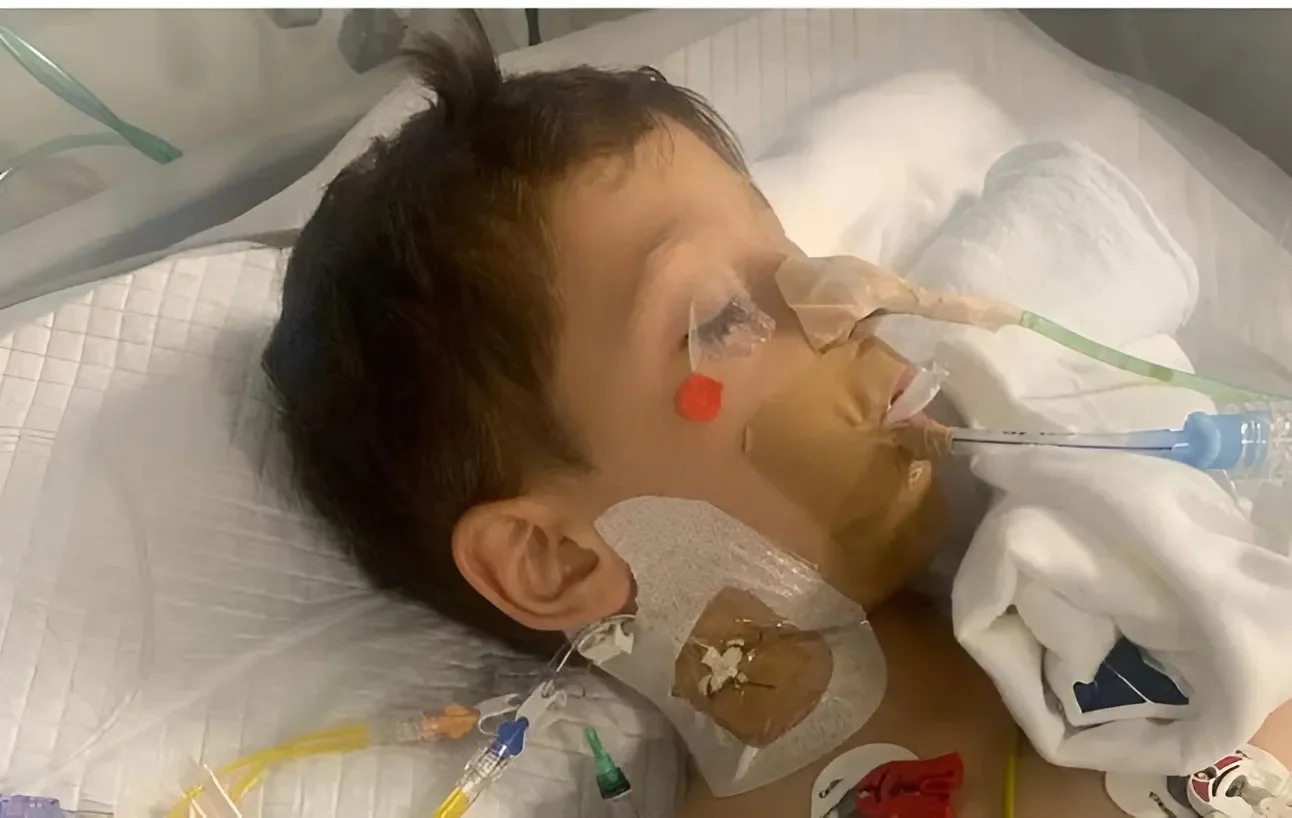 התקפת עורבים הובילה לתאונה: בן 8 מטבריה נפצע קשה לאחר שנכנס לכביש בניסיון לברוח התקפת עורבים הובילה לתאונה: בן 8 מטבריה נפצע קשה לאחר שנכנס לכביש בניסיון לברוח