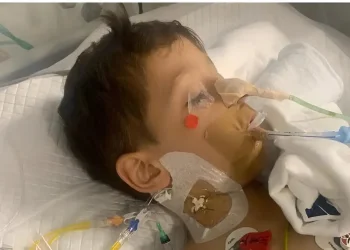 התקפת עורבים הובילה לתאונה: בן 8 מטבריה נפצע קשה לאחר שנכנס לכביש בניסיון לברוח