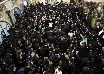 "זועק אלינו דמם": קריאתם של גדולי ישראל לקראת ל"ג בעומר במירון