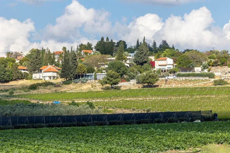 החקלאים מזהירים: הורדת המכסים לייבוא מארה"ב - השמדת הענף החקלאים מזהירים: הורדת המכסים לייבוא מארה"ב - השמדת הענף