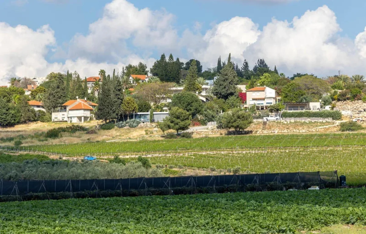 החקלאים מזהירים: הורדת המכסים לייבוא מארה"ב - השמדת הענף