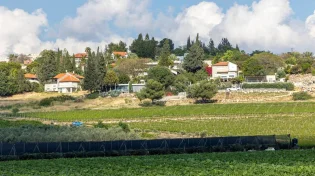החקלאים מזהירים: הורדת המכסים לייבוא מארה"ב - השמדת הענף