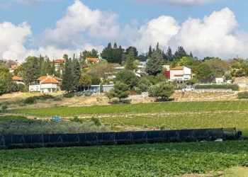 החקלאים מזהירים: הורדת המכסים לייבוא מארה"ב - השמדת הענף