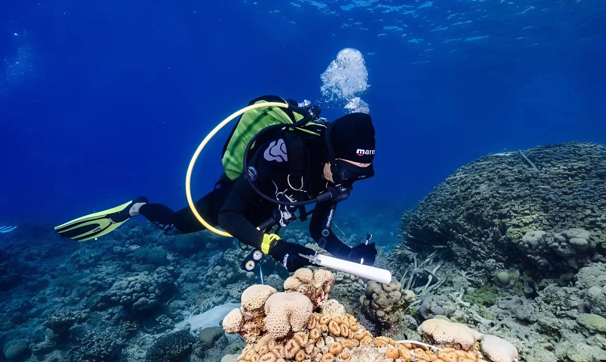 טרגדיה באילת: צוללן טבע למוות במהלך עבודתו בים טרגדיה באילת: צוללן טבע למוות במהלך עבודתו בים