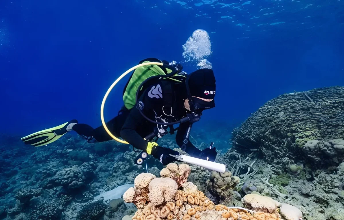 טרגדיה באילת: צוללן טבע למוות במהלך עבודתו בים