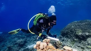 טרגדיה באילת: צוללן טבע למוות במהלך עבודתו בים