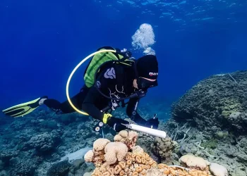 טרגדיה באילת: צוללן טבע למוות במהלך עבודתו בים