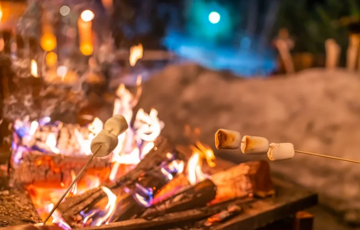 מהפיתה ועד המרשמלו: כל מה שטעים במדורה – מדריך חגיגי לל"ג בעומר מהפיתה ועד המרשמלו: כל מה שטעים במדורה – מדריך חגיגי לל"ג בעומר