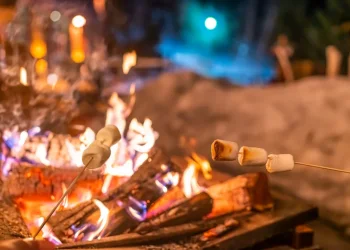 מהפיתה ועד המרשמלו: כל מה שטעים במדורה – מדריך חגיגי לל"ג בעומר מהפיתה ועד המרשמלו: כל מה שטעים במדורה – מדריך חגיגי לל"ג בעומר