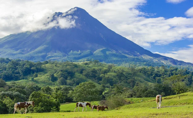 קוסטה ריקה: פלא הבריאה בין הרי געש, חופים ופסוקי תהילים