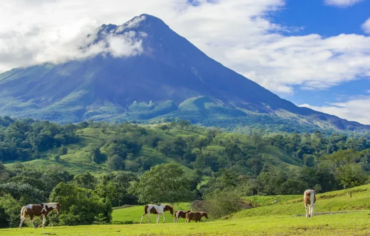 קוסטה ריקה: פלא הבריאה בין הרי געש, חופים ופסוקי תהילים