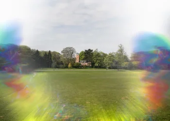 העין רואה, המוח משלים: מה מספרת לנו נקודת העיוורון?