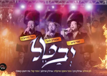 שמוליק לונגר, מענדי וייס ויואלי דוידוביץ - "יבטל"