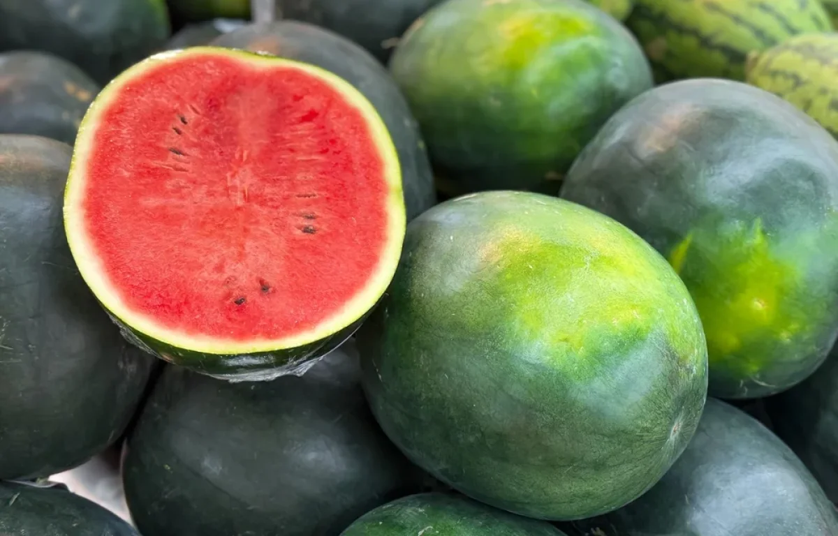 קיץ, חום, ואבטיח חתוך: השילוב הטעים שעלול לשלוח אתכם למיון קיץ, חום, ואבטיח חתוך: השילוב הטעים שעלול לשלוח אתכם למיון