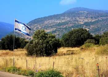 תורה ודרך ארץ &ndash; העיקר והטפל בחיי האדם 