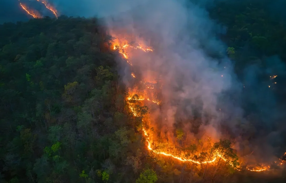 ככה תחסכו 117 שעות בגיהנום! ככה תחסכו 117 שעות בגיהנום!