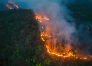 ככה תחסכו 117 שעות בגיהנום! ככה תחסכו 117 שעות בגיהנום!