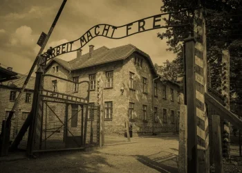 מה הופך אדם לאדם? סיפור אחד מהשואה שיגרום לך לחשוב אחרת על נתינה