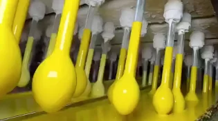 לא תאמינו איך מייצרים את זה - הסרטון שיגרום לכם להסתכל אחרת על בלון