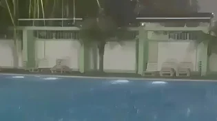 הבריכה הפכה לשדה קרב של הטבע - צפו בתיעוד הסוער