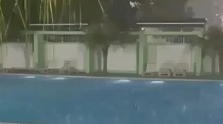 הבריכה הפכה לשדה קרב של הטבע - צפו בתיעוד הסוער