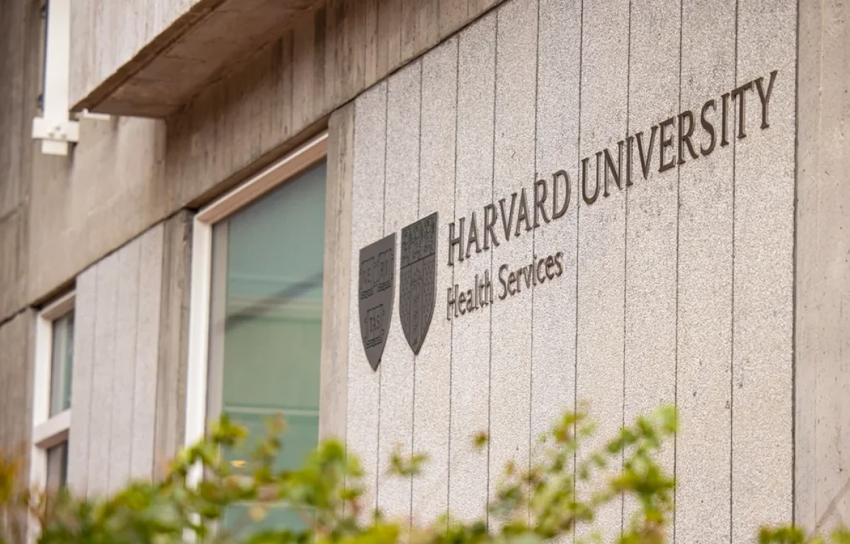 סערה בהרווארד: סטודנטים זרים תחת מתקפה &ndash; "מישהו בוושינגטון מעניש אותנו על משהו שלא עשינו"