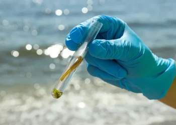 הים מתחמם – והחיידקים מתעוררים: המחקר שצריך להדליק לכם נורה אדומה הים מתחמם – והחיידקים מתעוררים: המחקר שצריך להדליק לכם נורה אדומה