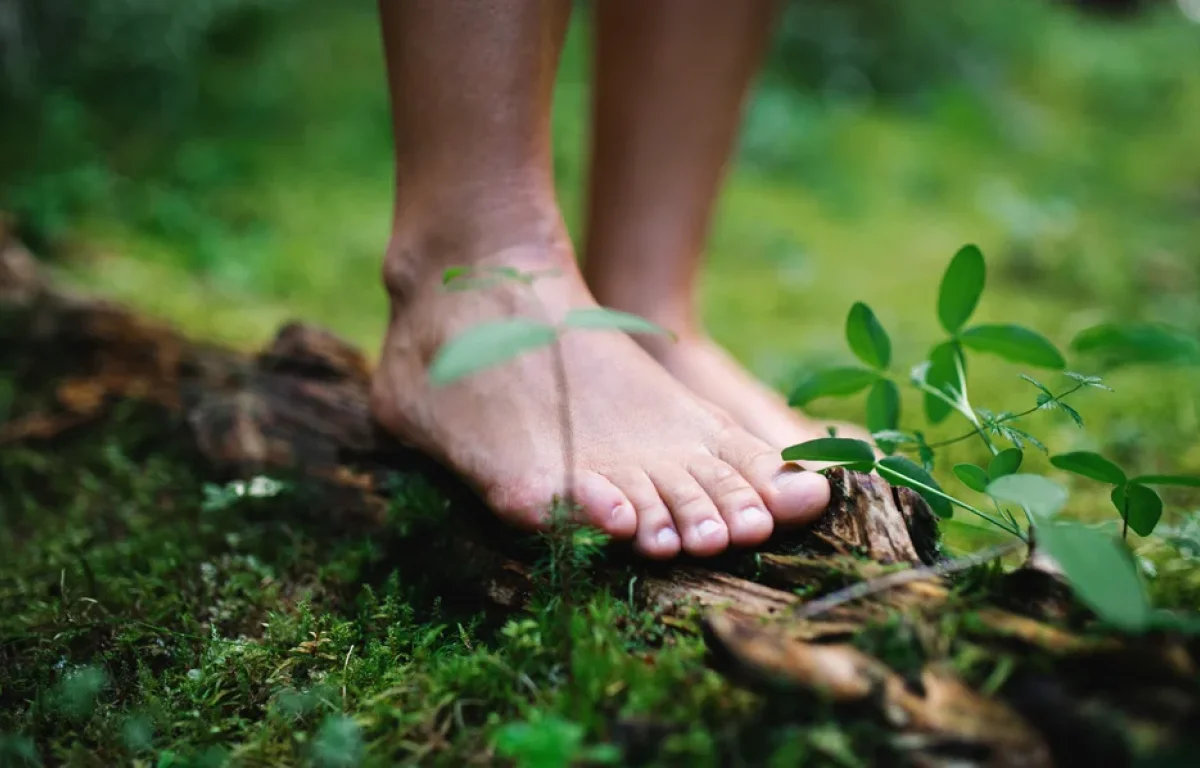הטרנד שמבטיח לרפא את הגוף דרך האדמה – אבל האם זה באמת עובד? הטרנד שמבטיח לרפא את הגוף דרך האדמה – אבל האם זה באמת עובד?