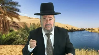 כל אחד והדגל שלו - פרשת במדבר | הרב דוד הכהן
