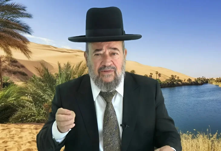 כל אחד והדגל שלו - פרשת במדבר | הרב דוד הכהן