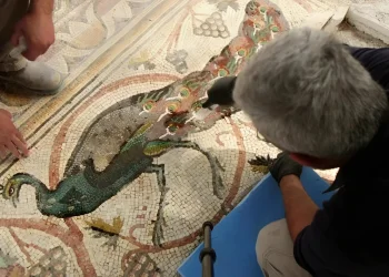 בן 1,600 שנה: פסיפס עתיק ומרהיב בעוטף עזה נחשף לציבור