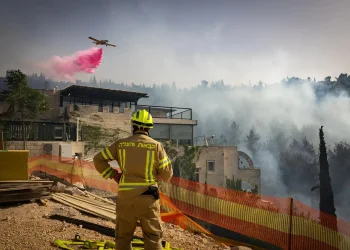 שריפה פרצה סמוך לבית זית: מערך הכבאות בלם את התפשטות האש להר נוף שריפה פרצה סמוך לבית זית: מערך הכבאות בלם את התפשטות האש להר נוף