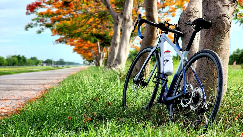 החבר שלי זילזל – האופניים נגנבו: האם אני חייב להחזיר לו את האבידה? החבר שלי זילזל – האופניים נגנבו: האם אני חייב להחזיר לו את האבידה?