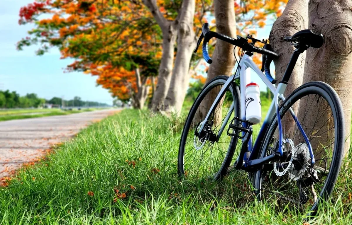 החבר שלי זילזל &ndash; האופניים נגנבו: האם אני חייב להחזיר לו את האבידה?
