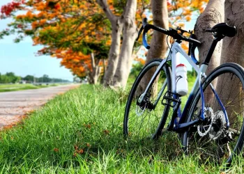 החבר שלי זילזל &ndash; האופניים נגנבו: האם אני חייב להחזיר לו את האבידה?