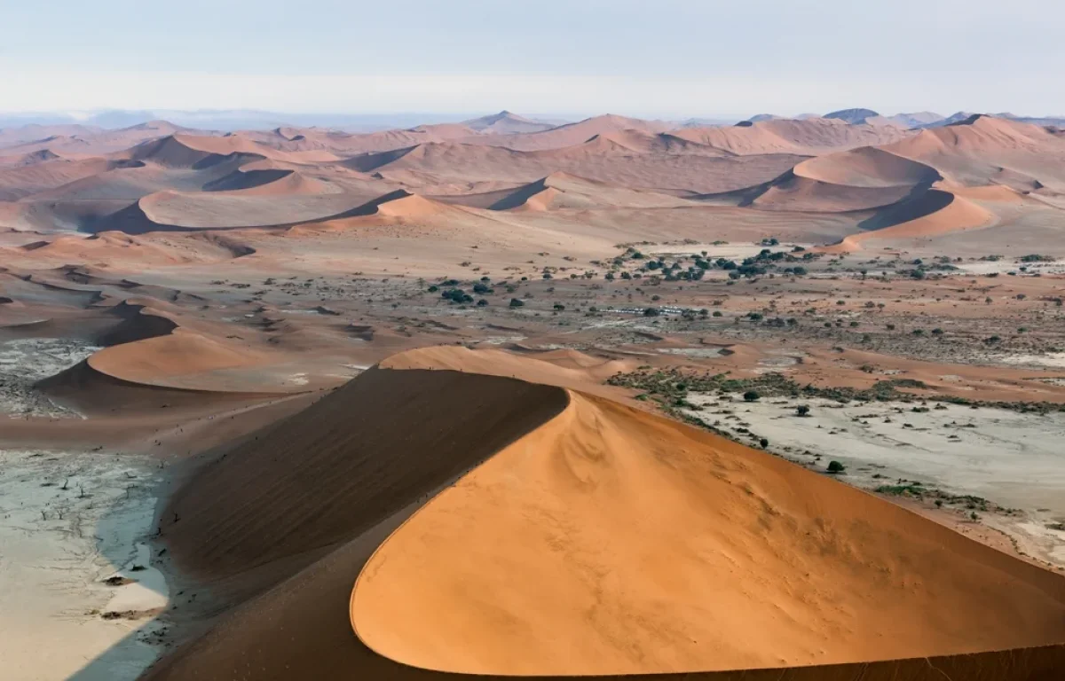מדבר שנראה ריק – אבל מסתיר בתוכו מים, משמעות ונשמה מדבר שנראה ריק – אבל מסתיר בתוכו מים, משמעות ונשמה