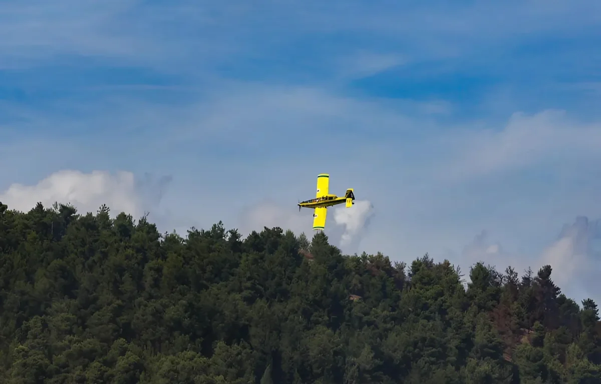חיפה: מטוסי כיבוי הוזנקו בעקבות שריפה שפרצה, כוחות בשטח להגנה על שכונות