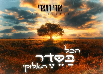 אודי דמארי - "הכל בסדר האלוקי"