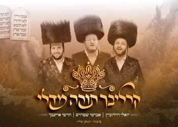 אברמי שטרויס, יואלי דוידוביץ והרשי אייזנבך - "קרליבך תורה מדלי"