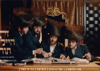 יואלי דוידוביץ, שוכי גולדשטיין, הרשי סגל, דודי אייזנשטיין - "די הייליגע תורה"
