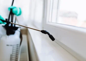 הקיץ הגיע &ndash; והג'וקים חוגגים: כך תעשו הדברה חכמה שתשאיר אותם בחוץ