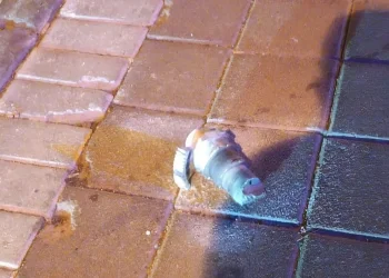 לאחר יירוט הטיל מתימן: רסיס אותר בעיר מודיעין