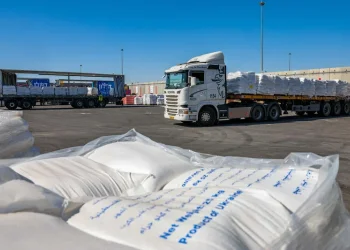 עומס ואיומים ביטחוניים: חלוקת הסיוע בעזה הופסקה זמנית