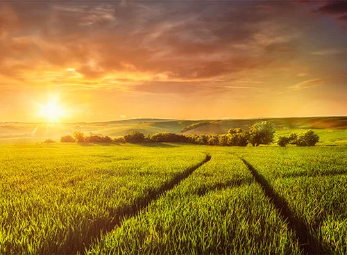 התמונה נראית כמו שומר מסך – אבל האדמה מספרת סיפור שאי אפשר לשכוח